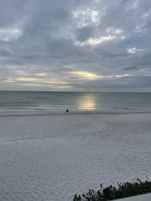 Caddy's Madeira Beach by null