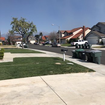OJ Tree Service - After tree was cut down. - Tree Services Near Me
