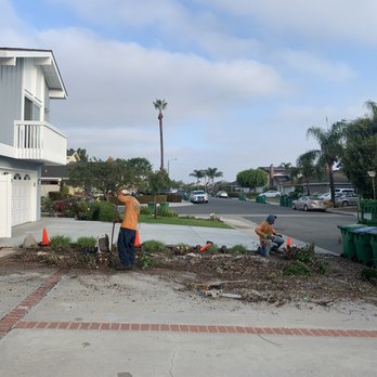 Environmental Green Tree Care - Tree Services Near Me