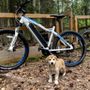 Bike Cooper Landing