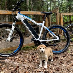 Bike Cooper Landing - Maybe I can train for Iditarod with the ebike?!