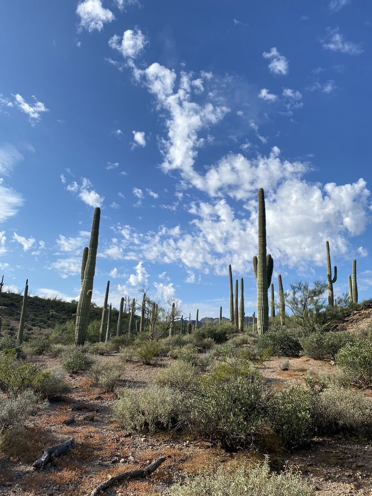 SWEETWATER PRESERVE Updated August 2024 47 Photos & 12 Reviews