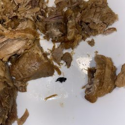 Una MOSCA en las Carnitas!!! Una MOSCA en las Carnitas!!!