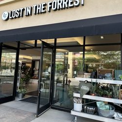Lost in the Forrest