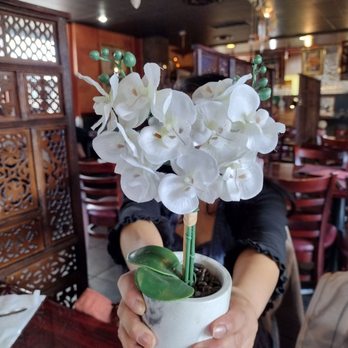 Our Thai House - Spokane - a woman holding a potted plant - Thai Near Me - Spokane, Washington Our Thai House - Spokane - a woman holding a potted plant - Thai Near Me - Spokane, Washington