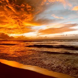 The Haleiwa Massage Muse - North shore