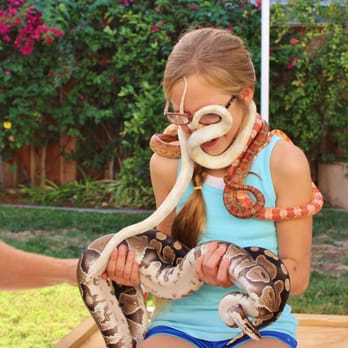 Cool Critters - The albino snake was on a quest to remove her glasses! - Sewing & Alterations Near Me Cool Critters - The albino snake was on a quest to remove her glasses! - Sewing & Alterations Near Me