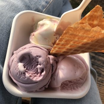 Jeni's Splendid Ice Creams - Trio (Wildberry Lavender, Rainbow Buttermilk Frozen Yogurt, and Frosé Sorbet) in regular bowl with waffle wedge. - Ice Cream & Frozen Yogurt Near Me - Birmingham, Alabama Jeni's Splendid Ice Creams - Trio (Wildberry Lavender, Rainbow Buttermilk Frozen Yogurt, and Frosé Sorbet) in regular bowl with waffle wedge. - Ice Cream & Frozen Yogurt Near Me - Birmingham, Alabama