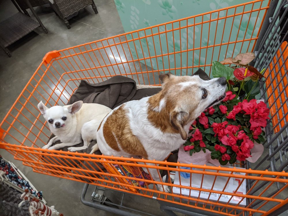 THE HOME DEPOT Updated August 2024 11 Photos & 21 Reviews 6685 S