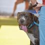 Photo of Sit Means Sit Cibolo