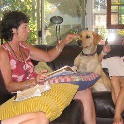 Write With Janet - It's like school with a dag