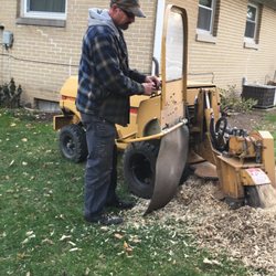Brandt's Stump Grinding