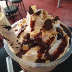 Wild Wings - Ice Blended Beverage