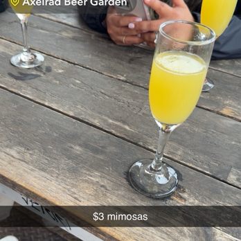 Axelrad - Beer Gardens Near Me - Houston, Texas