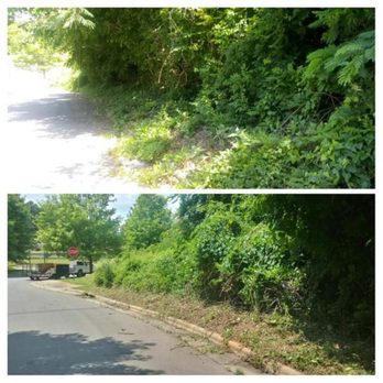 Year Round Lawn & Landscape - two different views of the same area - Lawn Services Near Me - Longs, South Carolina Year Round Lawn & Landscape - two different views of the same area - Lawn Services Near Me - Longs, South Carolina
