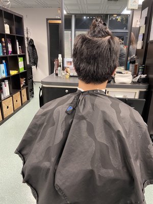 Mariposa Salon by null