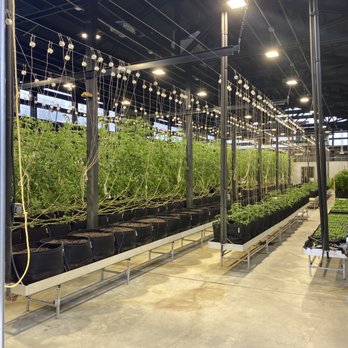 Public Coast Farm - Green thumb approved. - Farmers Market Near Me - Banks, Oregon