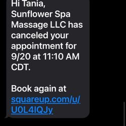 Sunflower Massage - Appointment