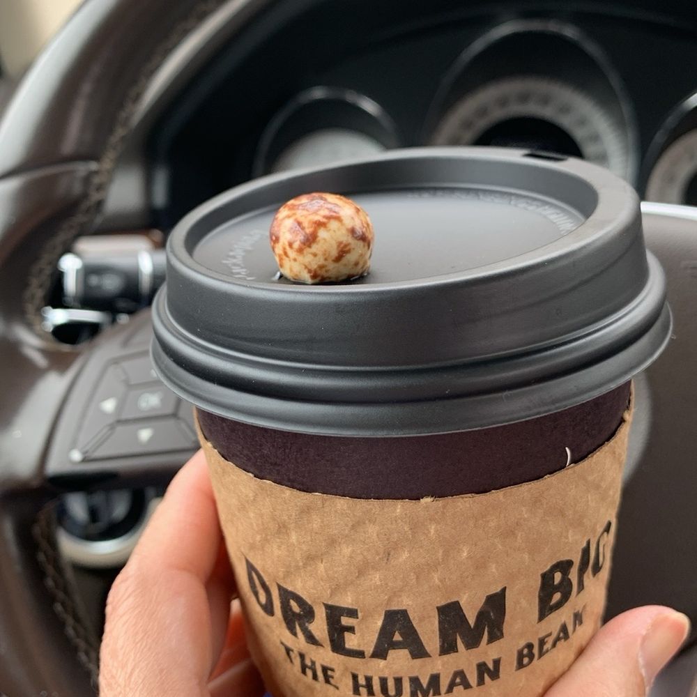 The Human Bean - Chocolate Covered Espresso Beans on top latte - Coffee & Tea Near Me - Lake Forest, California The Human Bean - Chocolate Covered Espresso Beans on top latte - Coffee & Tea Near Me - Lake Forest, California