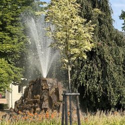 Lichtentaler Allee - Fountain