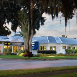 Ocala Eye