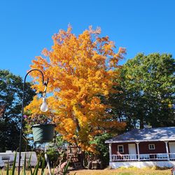 Pioneer Motel - Fall 2022