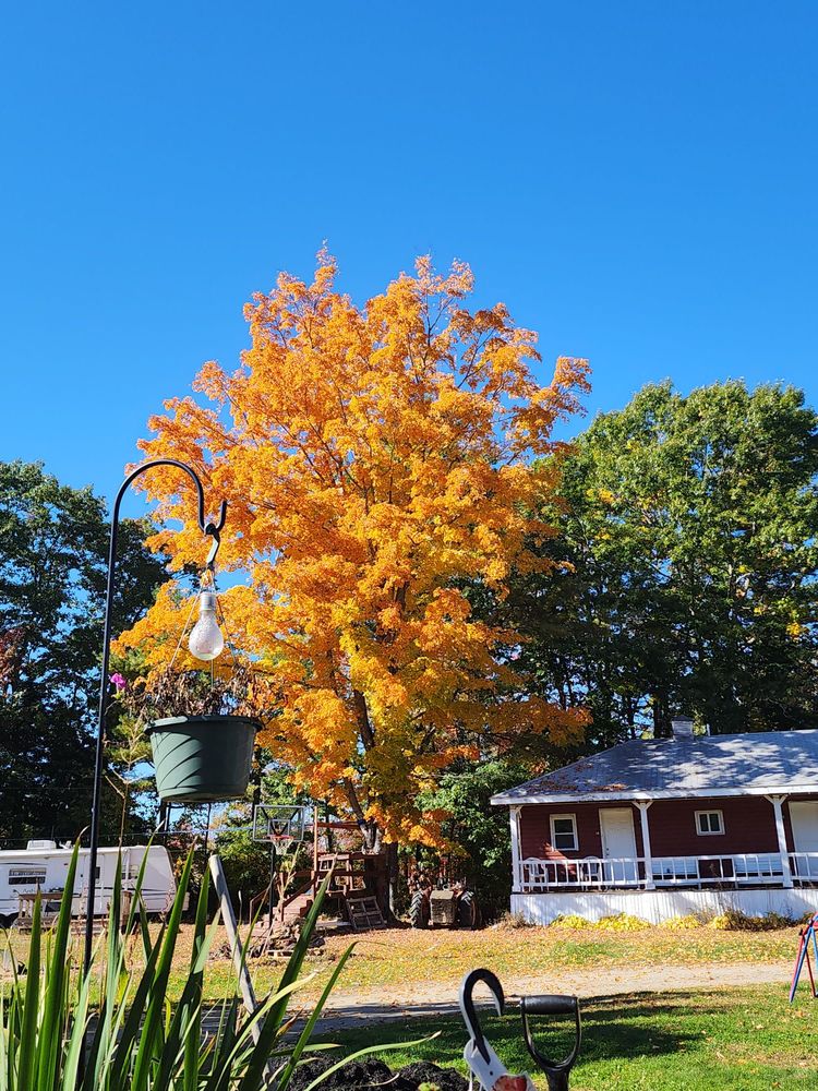 PIONEER MOTEL Updated September 2024 400 Rte 1, Maine