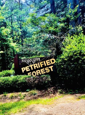 Mississippi Petrified Forest by null