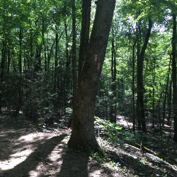 Case Mountain - Trail markings .... Makes it an easy hike - Hiking Near Me