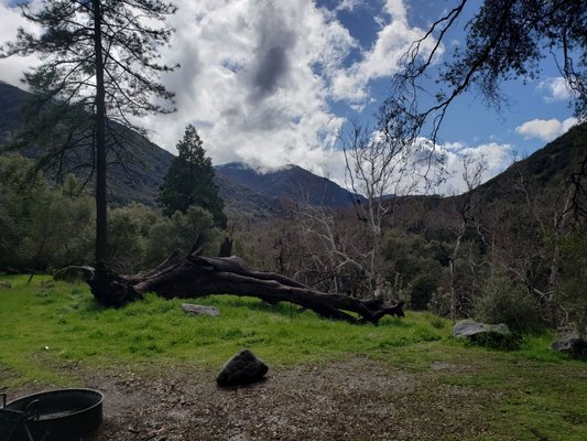 Potwisha Campground by null