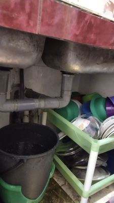 Zoo Negara Malaysia by null