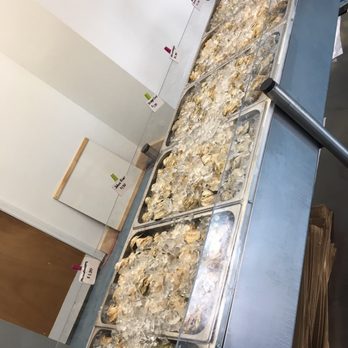 Shuck Station - Can buy these babies home and shuck them yourself. - Seafood Near Me - Newcastle, Maine Shuck Station - Can buy these babies home and shuck them yourself. - Seafood Near Me - Newcastle, Maine