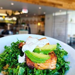 Mother's Market & Kitchen - Wild & Wild and Free Salmon Bowl