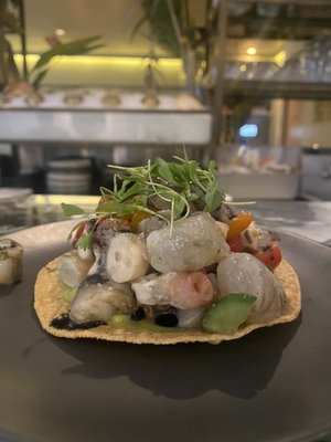 Ceviche Project by null