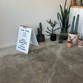 The Sedona House - Always beautiful plants to welcome you in - Meditation Centers Near Me - Baltimore, Maryland The Sedona House - Always beautiful plants to welcome you in - Meditation Centers Near Me - Baltimore, Maryland