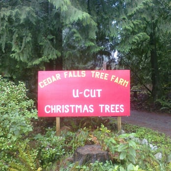 Cedar Falls Tree Farm - Entrance to Cedar Falls Tree Farm, the most beautiful and natural Christmas Tree Farm in the Snoqualmie Valley! - Nurseries & Gardening Near Me - North Bend, Washington