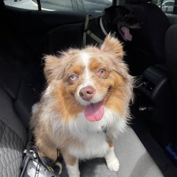Fresh, clean, and happy! Fresh, clean, and happy!