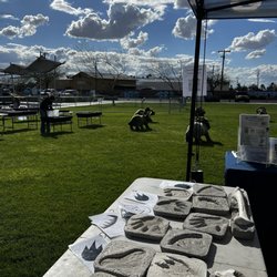 FlatIron Park - Dino days