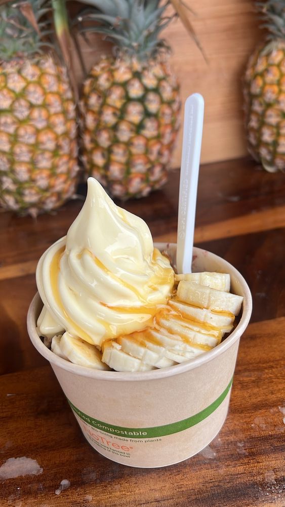 ALOHA JUICE BAR Updated September 2024 231 Photos & 221 Reviews 5