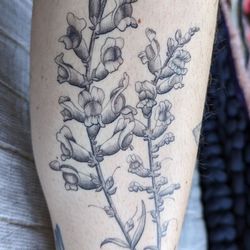 Bell & Iron Tattoo - Snapdragons on inner left shin by Lo, 2.5 weeks healed