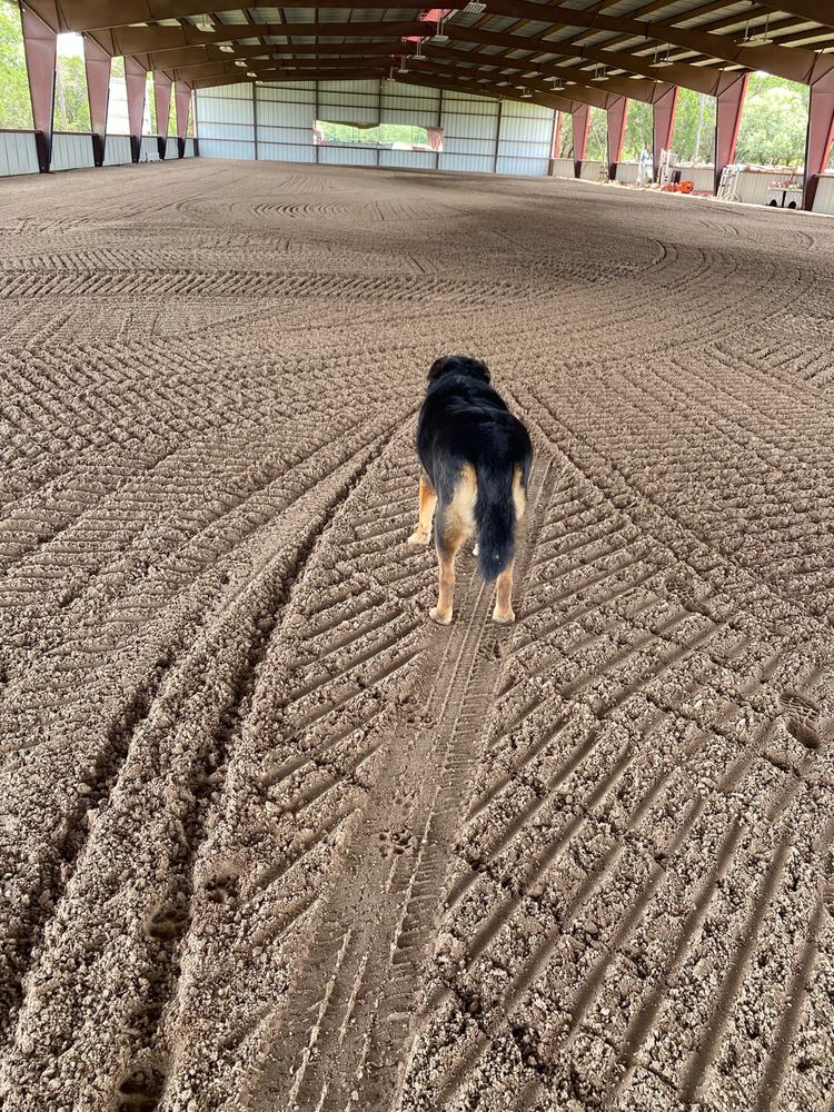 HILL COUNTRY RIDING ACADEMY 10 Photos Horseback Riding 27950