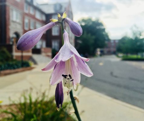Worcester Polytechnic Institute by null
