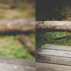 Jamie Patricia Photography