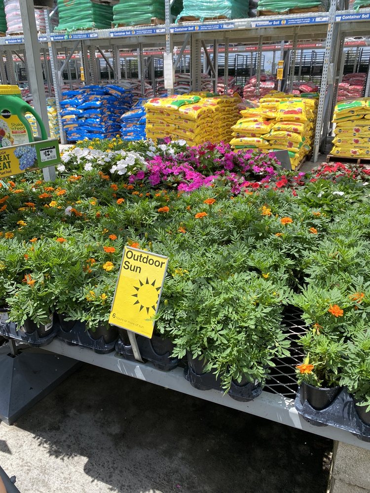 THE HOME DEPOT Updated August 2024 62 Photos & 63 Reviews 7899 W