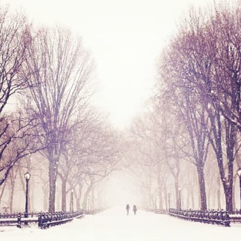 Central Park Conservancy - Before the 2015 blizzard. - Parks Near Me - New York, New York