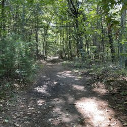 Boyden Wildlife Refuge - Sun-dappled trail