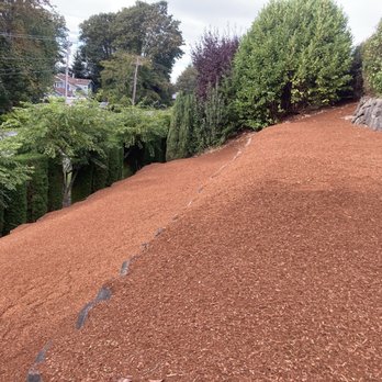 Aardvark Bark Blowing & Landscape Services - Landscaping Near Me - Tacoma, Washington Aardvark Bark Blowing & Landscape Services - Landscaping Near Me - Tacoma, Washington