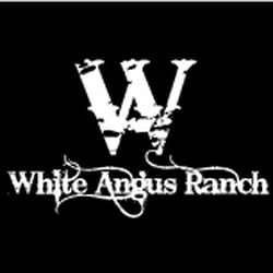 White Angus Ranch - Premium Grass Fed Beef From Our Backyard To Yours.