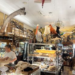 Vista Trading Post - Some incredible finds