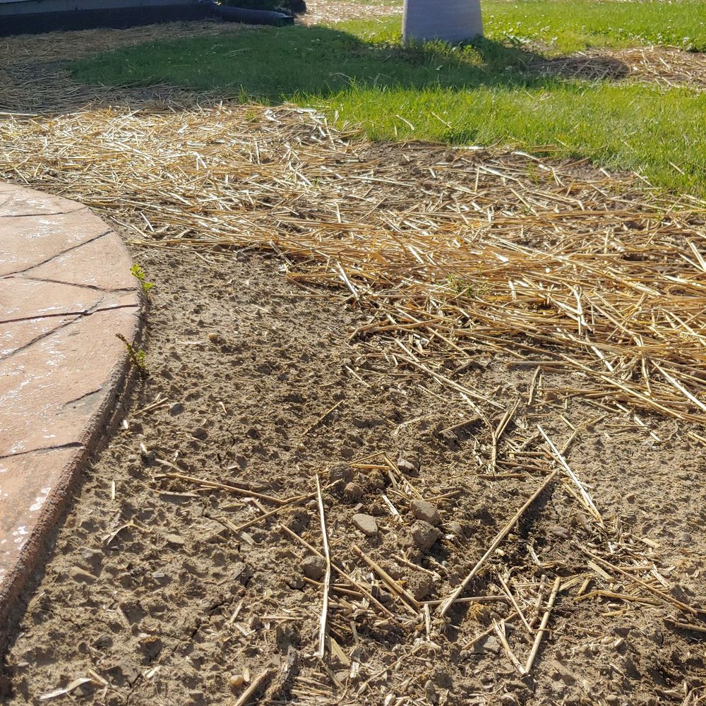 E & T Lawn & Landscape - The new topsoil was not applied correctly to transition the yard - Landscaping Near Me - Uniontown, Ohio E & T Lawn & Landscape - The new topsoil was not applied correctly to transition the yard - Landscaping Near Me - Uniontown, Ohio